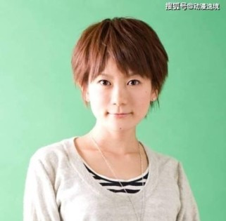 冒险日记武器大师宠物搭配攻略（打造完美战斗阵容，让你无敌于天下）