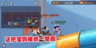猫和老鼠莱特宁游戏攻略（玩转游戏，成为顶级猫或老鼠的必备指南）