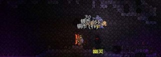 泰拉瑞亚闪耀根怎么种,培育神秘之力的奥秘