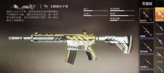 《和平精英》游戏M16A4-夜灯皮肤获取攻略（教你如何在游戏中获得M16A4-夜灯皮肤）