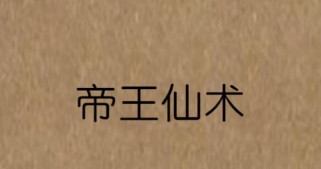 橙光相思无益攻略（重新审视橙光相思，探寻内心真实需求，为自己而活）