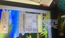女骑士出装顺序攻略大全（挑战无敌女骑士，出装顺序是关键！）
