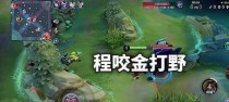 《以程咬金打野出装攻略》（神刺程咬金出装推荐及打法技巧）