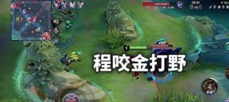 《以程咬金打野出装攻略》（神刺程咬金出装推荐及打法技巧）