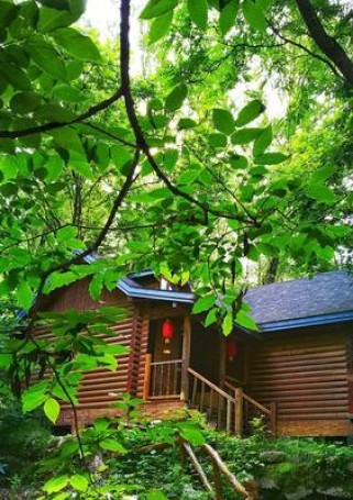 小木屋逃生攻略（从危机中求生的关键技巧与策略）