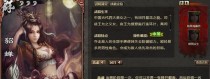 《神貂蝉技能搭配攻略》（掌握最强组合，打造无敌战队！）