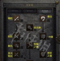 暗黑法师如何选择刷野技能攻略（详解暗黑法师刷野技能选择，助你快速升级）