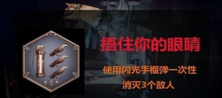 《生化危机8》奖杯成就攻略一览（全面解析《生化危机8》所有奖杯成就，轻松实现百分百完成！）