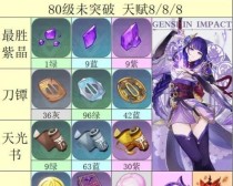 原神雷军培养攻略（如何通过合理选择装备和培养策略提升雷元素角色的战斗能力）