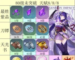 原神雷军培养攻略（如何通过合理选择装备和培养策略提升雷元素角色的战斗能力）