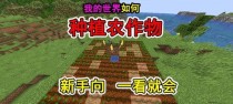 我的世界如何种植作物,从种子到丰收