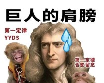 原神嘲讽机制玩法攻略（探索原神世界中的嘲讽机制，提高游戏技巧，成为真正的冒险者）