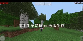 《如何在初中生存游戏中取得胜利》（初中生存游戏攻略分享，让你轻松成为胜者）