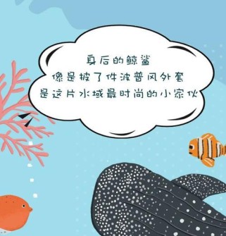 波普海豚技能选择攻略（掌握波普海豚技能的关键和策略）