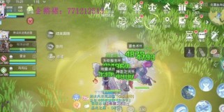 RO武僧技能攻略（揭秘RO武僧技能，打造最强战斗力）