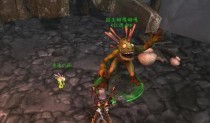 《3.1版本小鱼人出装攻略》（掌握关键装备，打造无敌小鱼人！）