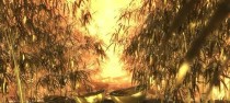 财富之路出装顺序攻略（聪明投资决策，引领成功财富之路）
