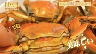 揭秘柳宰贤攻略的不可思议之美梦快递（一个令人心动的送货员，带你感受奇妙的快递旅程）