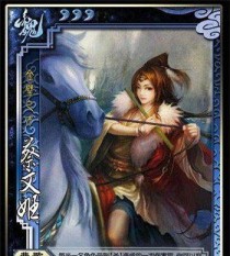 蔡文姬出装攻略（征战三国，蔡文姬如何在群雄割据中脱颖而出？）