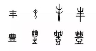 诸葛小九出装铭文攻略（解密诸葛小九的最佳出装和铭文搭配，带你玩转荣耀！）