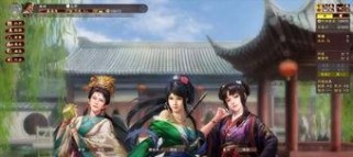 三国志13怎么生子,详解结婚生子流程与育儿心得