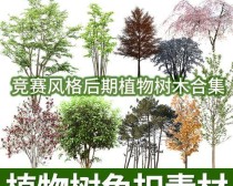 《原神乔木灌木任务攻略》（追寻乔木的秘密，完成灌木任务！）