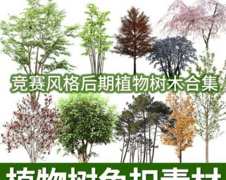 《原神乔木灌木任务攻略》（追寻乔木的秘密，完成灌木任务！）