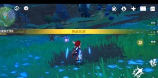 《原神反雷神特训攻略》（揭秘雷神特训背后的策略与技巧）
