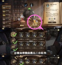 哈利波特游戏13攻略（探索魔法世界的冒险之旅，助你成为真正的魔法师！）