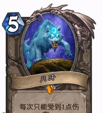 驭兽师装备搭配全攻略（用最佳搭配，打造最强战斗力）