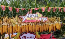 大唐无双（和尚格挡爆抗流，修炼大唐无双绝技，挑战无敌江湖！）