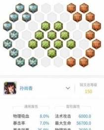 职业赛场老虎铭文出装攻略（助你在职业赛场中打造强力老虎选手的必备指南）