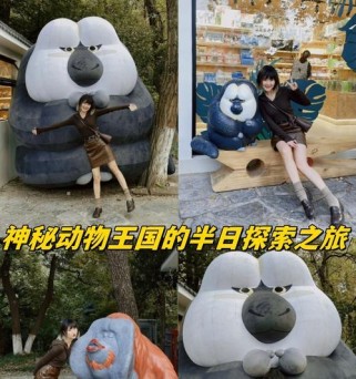 探索神秘动物园的攻略指南（发现奇幻生物与掌握冒险秘籍）