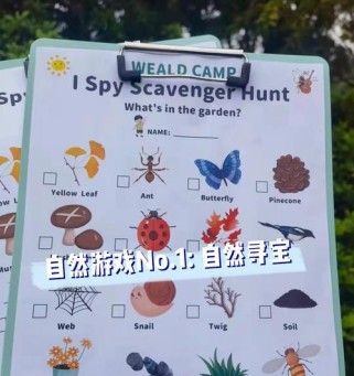 稚嫩宠物攻略游戏（带领宠物成长，体验亲密互动，打造专属团队）