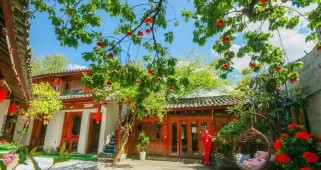 李献仙大忌出装攻略（了解李献仙大忌，避免战局失控）