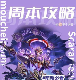 平民打女士周本出装攻略（轻装出击，征服女士周本的利器）