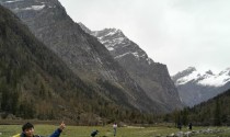 《我的侠客》中的宠物包子（解锁包子，体验不一样的旅程）