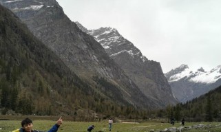 《我的侠客》中的宠物包子（解锁包子，体验不一样的旅程）